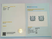 3.06 Carats Lab Grown Diamond 14K Gold Earrings