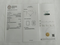 3.81 Carats Lab Grown Diamond 14K Gold Earrings