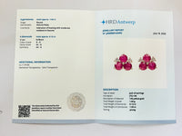 1.77 Ct Round Natural Ruby 14K Gold Earrings